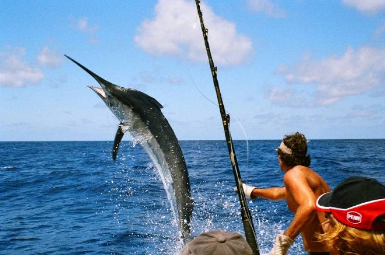 big game fishing, mauritius, travel, tourism