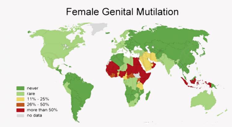 Female genital Mutilation, FGM