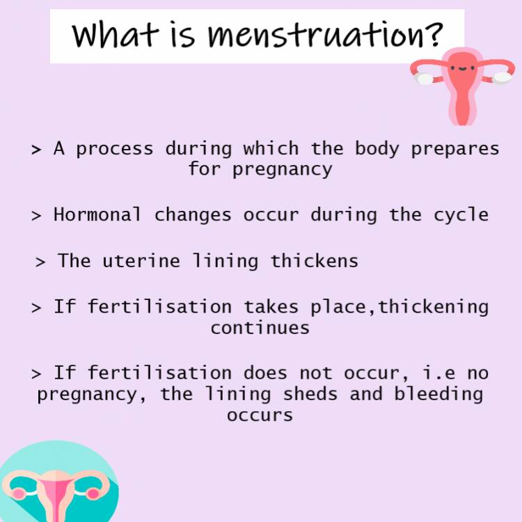 What is menstruation? understanding your cycle 