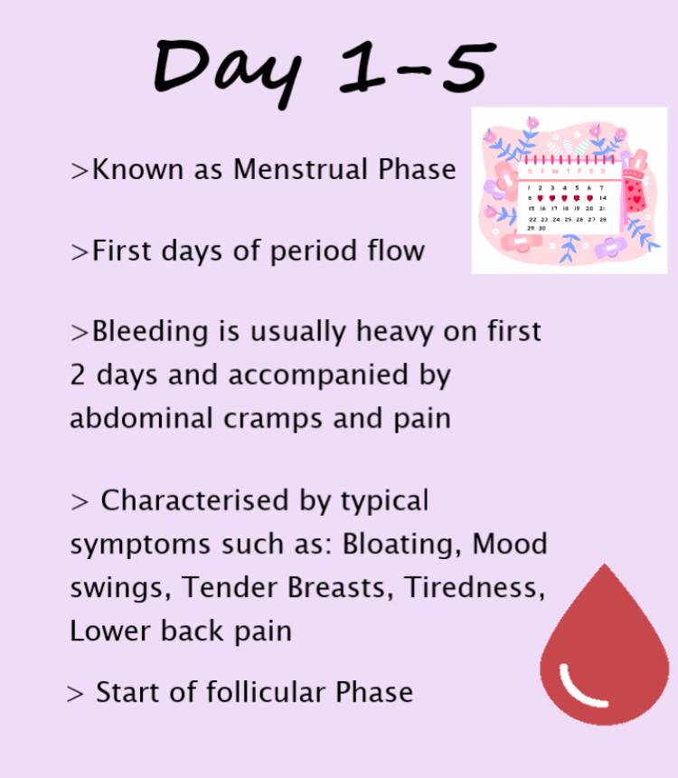 first 5 days of periods, Menstrual phase