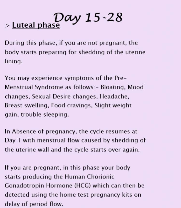 Luteal Phase, Pregnancy 